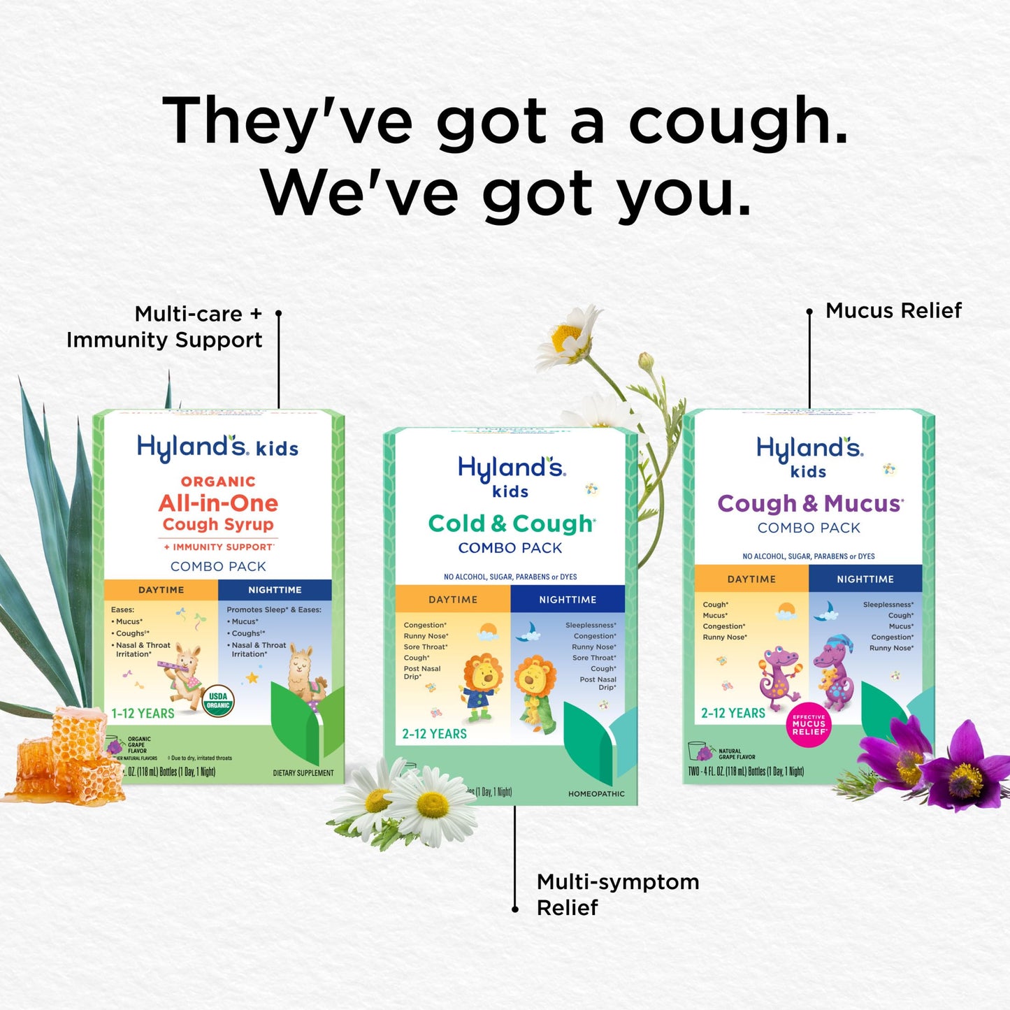 Hyland's Kids Organic All-in-One Grape Cough Syrup Day & Night, Two 4 Ounce Bottles