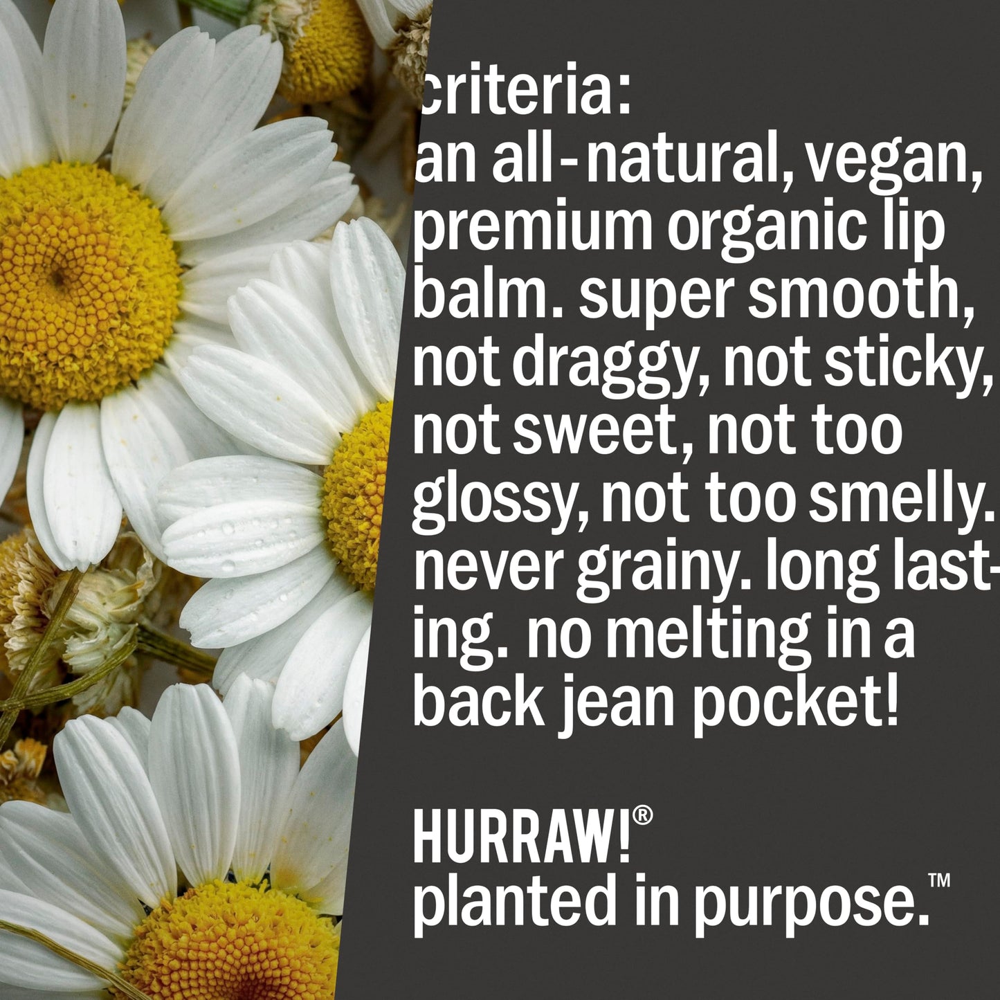 Hurraw! Moon Night Treatment (Blue Chamomile, Vanilla) Lip Balm, 5 Pack: Organic, Certified Vegan, Cruelty and Gluten Free. Non-GMO, 100% Natural Ingredients. Bee, Shea, Soy and Palm Free. Made in USA