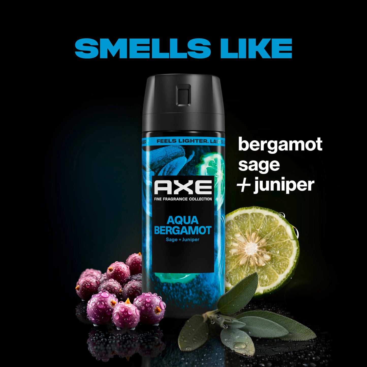 AXE Body Spray Everyday Essentials 4 Count Stay fresh for 72 hours Aluminum Free 2.9 oz