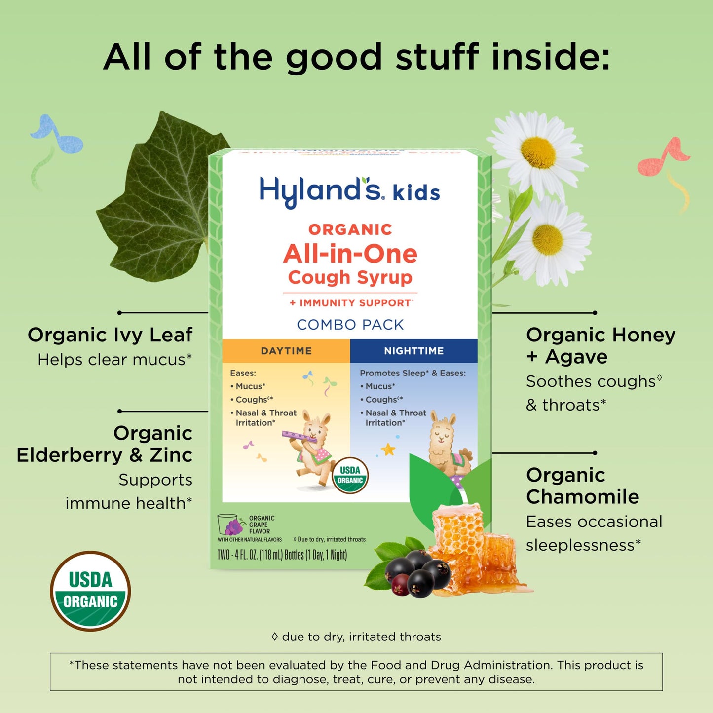 Hyland's Kids Organic All-in-One Grape Cough Syrup Day & Night, Two 4 Ounce Bottles