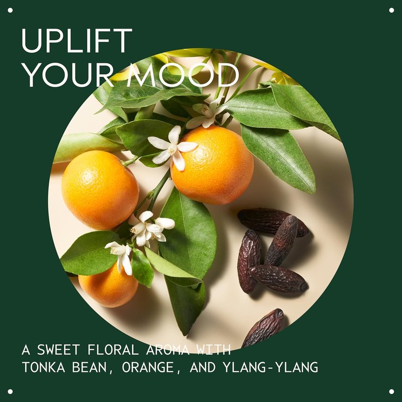 Aveda Cherry Almond Hand & Body Wash - Sweet Almond Oil & Cherry Blossom | Floral Aroma with Ylang Ylang, 97% Naturally Derived