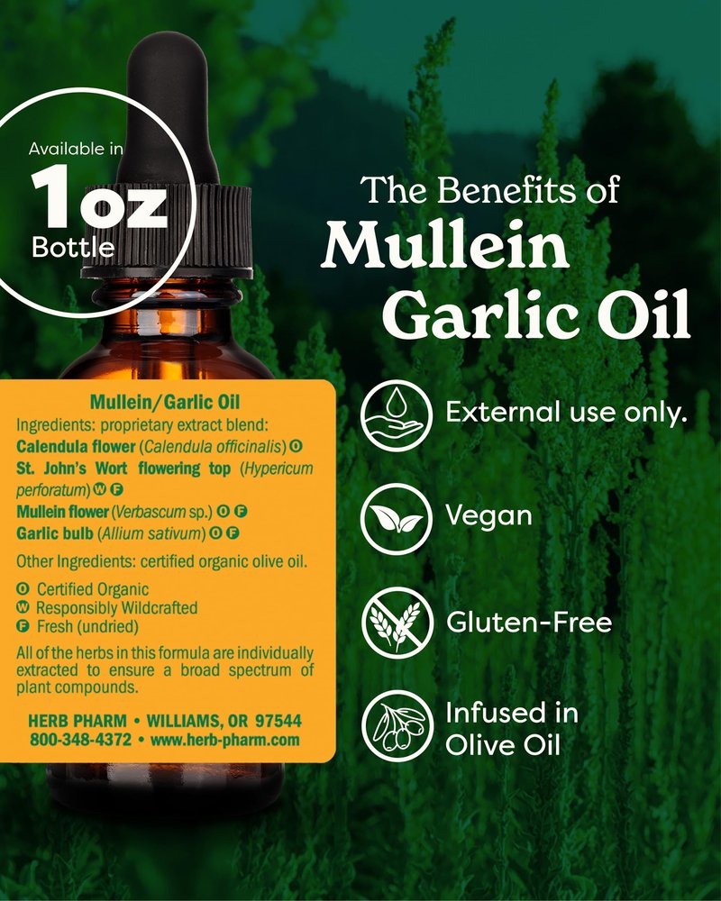 Herb Pharm Mullein Garlic Oil: Infused Oil for Topical External Use with Certified Organic Mullein Extract, Garlic Extract, Calendula & Responsibly Wildcrafted St. John's Wort, 1 oz (Pack of 2)