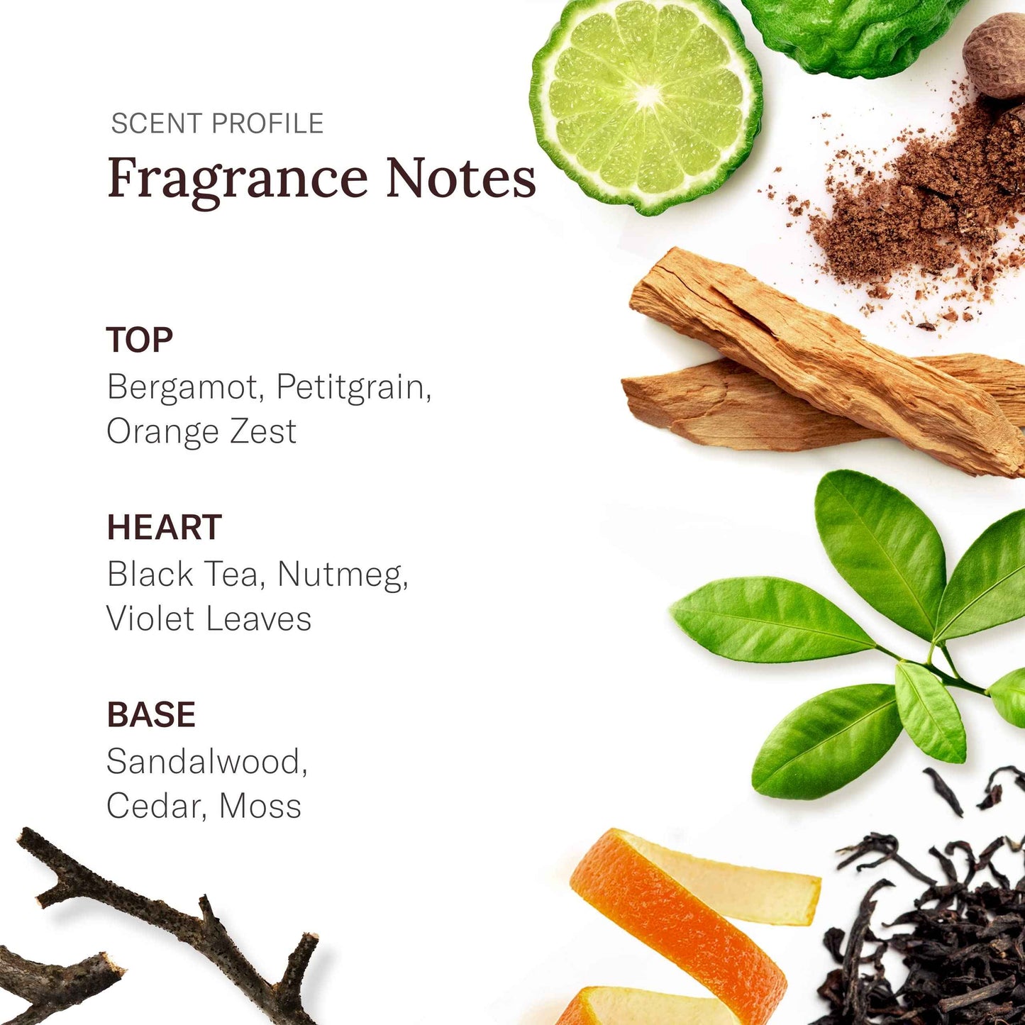 STETSON Personal Care Extra Strength Deodorant by Scent Beauty - Gel Men's Deodorant Stick for Grooming Kit - 3 oz - 3 Pack - Oasis