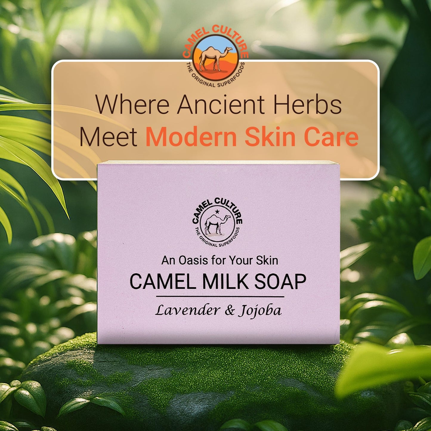 Camel milk soap(Lavendar & Jojoba) - 3 pack - Moisturizing, Calming Lavender & Jojoba Oil Body Soap - Soft, Gentle Soaps