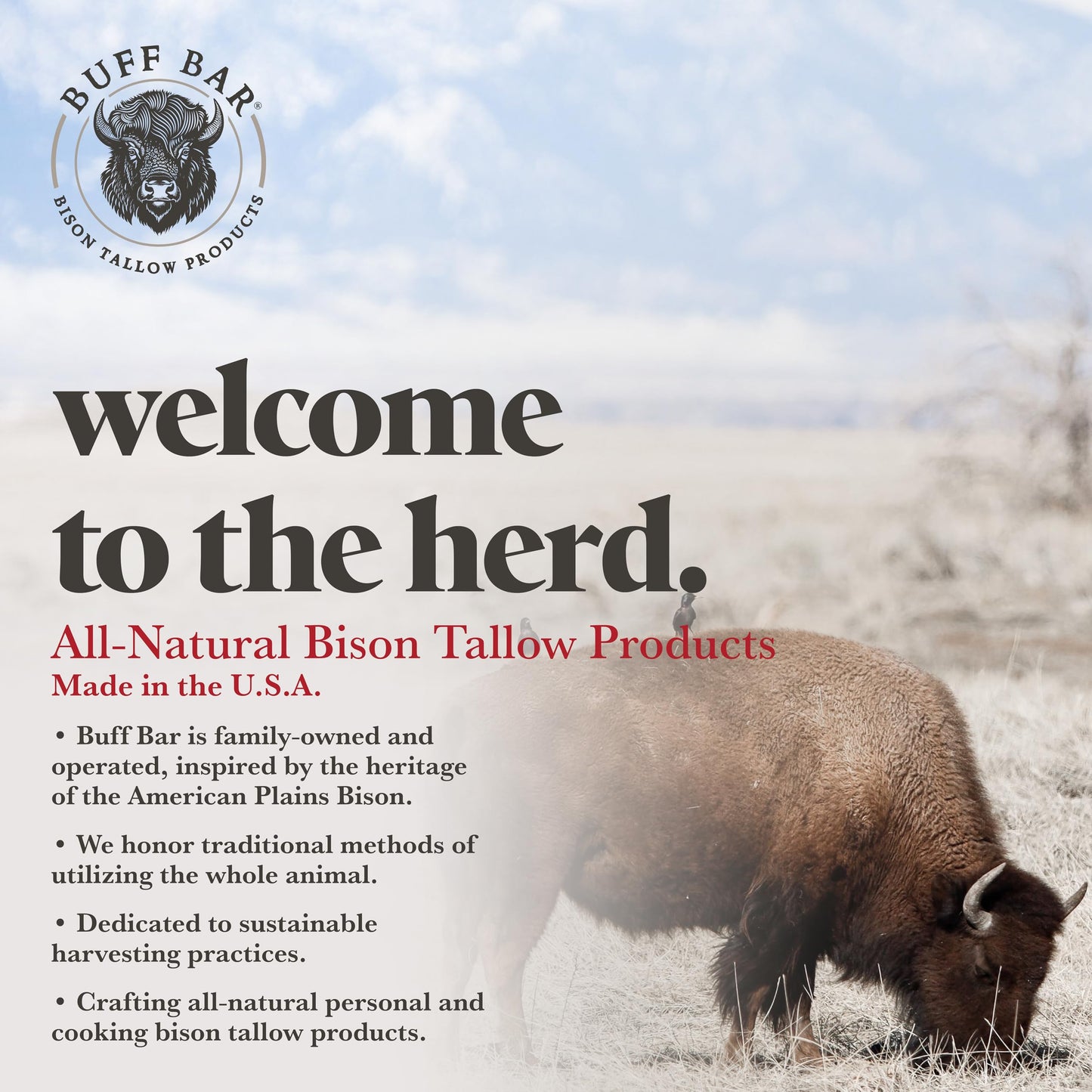 Big Crazy Buffalo Buff Bar Bison Tallow Balm Lavender Mint, All Purpose Skin Moisturizer, Dry Cracked Skin Hands Face Feet, Natural Non-Comedogenic Hydration, Sensitive Skin, 2 oz Tin (2-Pack)
