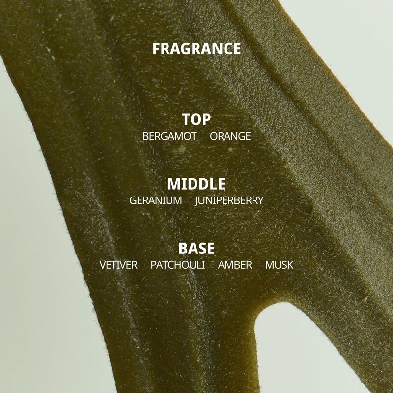 House of Balance Body Wash | 04:00PM | MIND AND BODY WASH