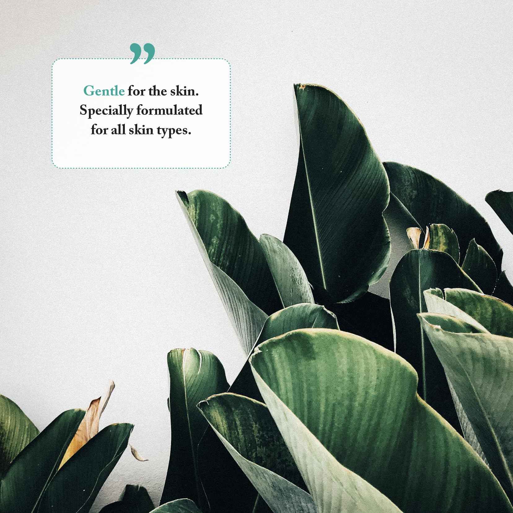 Bayes Foaming Hand Soap - Aromatic and Nourishing Hand Wash, Infused with Essential Oils - USDA Certified Biobased - 11.5 Ounce, Lavender, 2 Pack