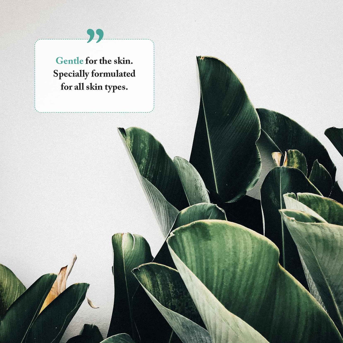 Bayes Foaming Hand Soap - Aromatic and Nourishing Hand Wash, Infused with Essential Oils - USDA Certified Biobased - 11.5 Ounce, Lemon Basil, 2 Pack