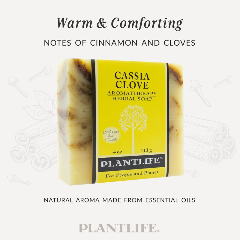 Plantlife Cassia Clove 6-pack Bar Soap - Moisturizing and Soothing Soap for Your Skin - Hand Crafted Using Plant-Based Ingredients - Made in California 4oz Bar