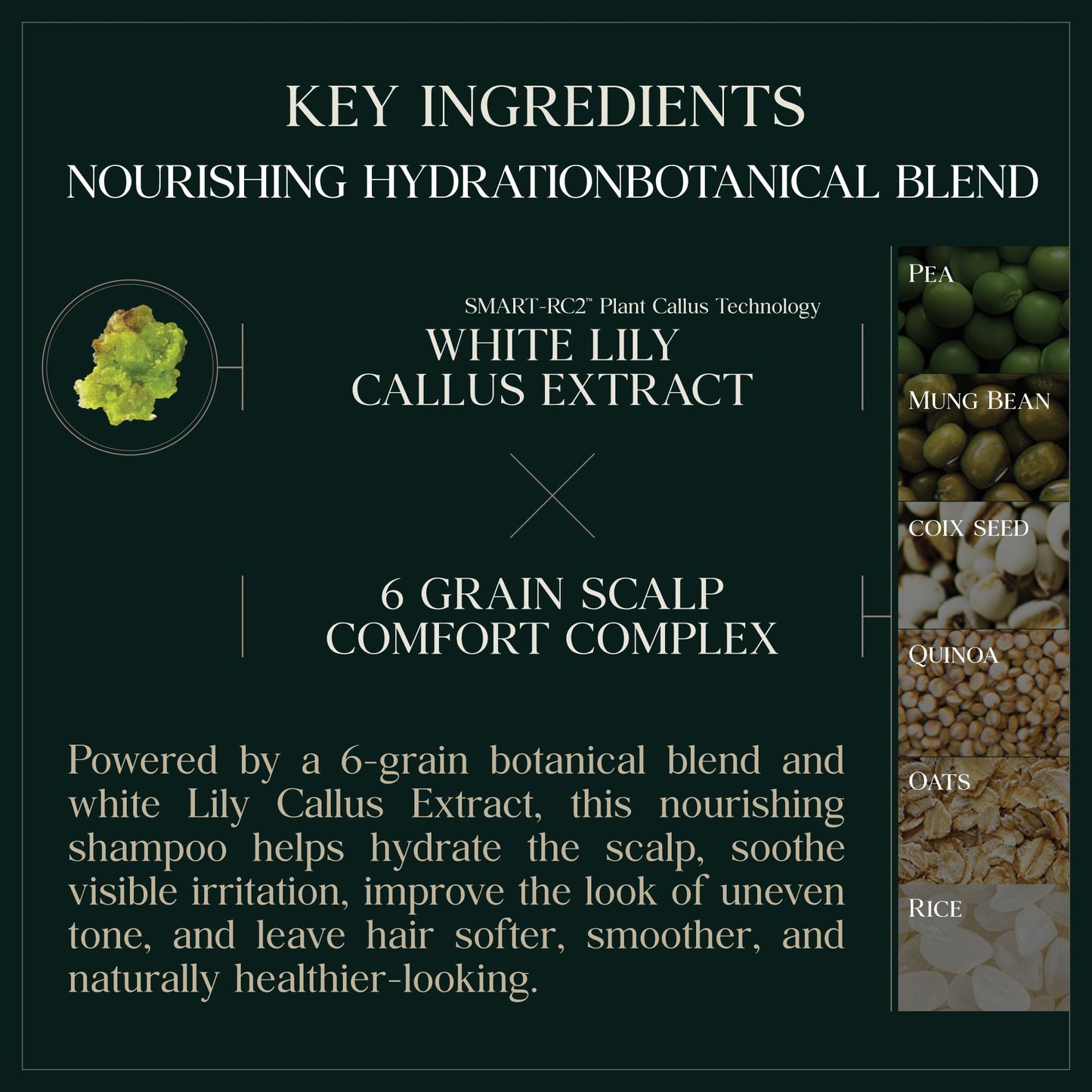 PUREBBLE Nourishing Botanic Cellcare Shampoo 500ml, 16.90 fl oz | Sulfate-Free, Paraben-Free and Color-Safe | pH Balancing