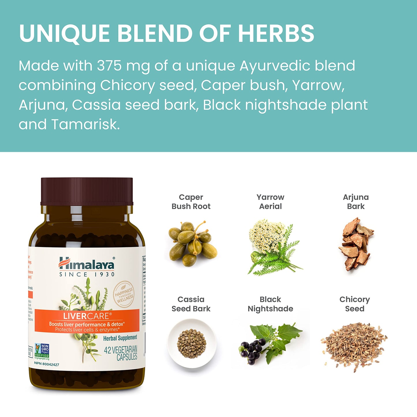 Himalaya LiverCare, 90 Day Supply - Herbal Liver Support Promoting Waste Elimination, Liver Cleanse, Detox, and Bile Production - Vegan, Non-GMO, Gluten Free, 375 mg, 180 Capsules