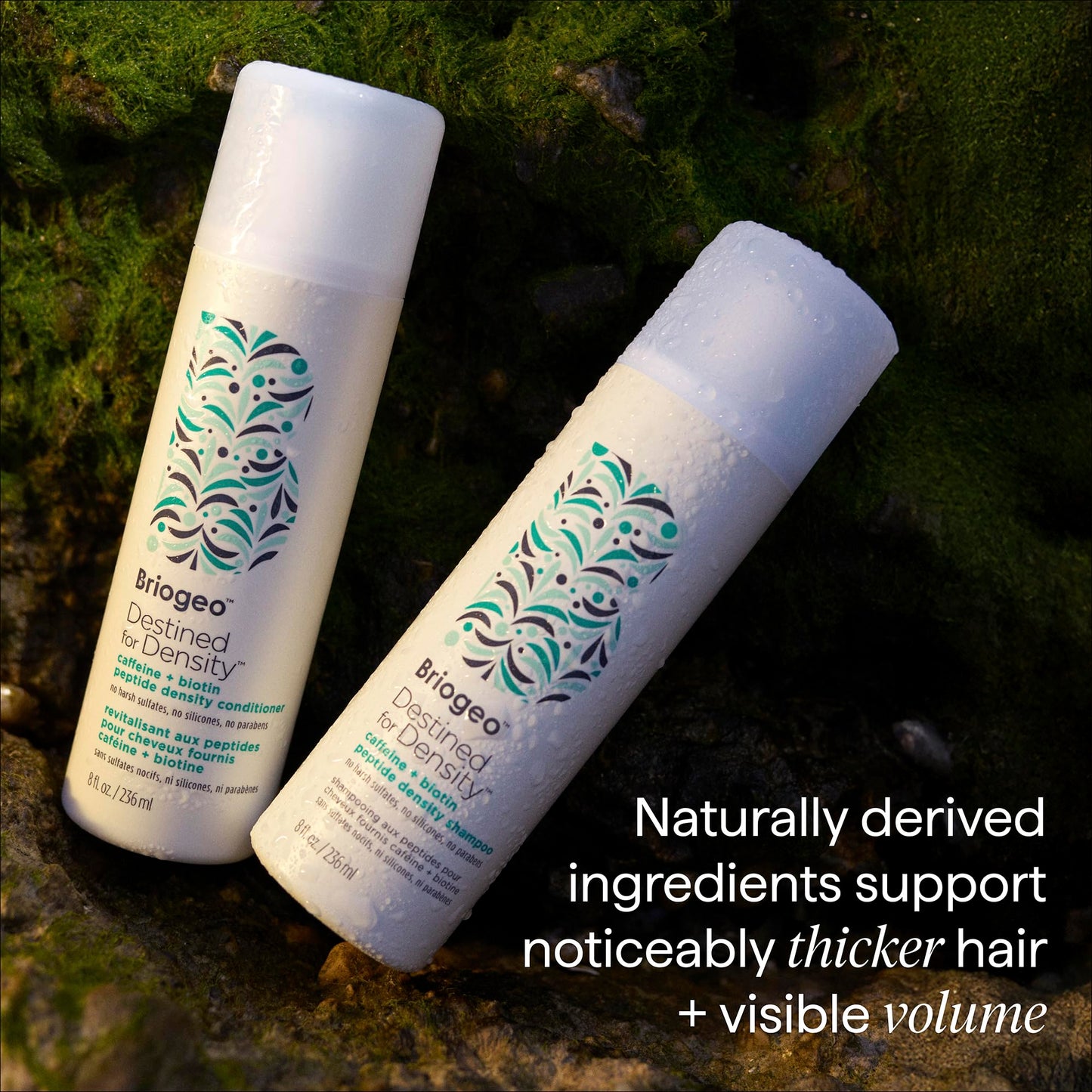 Briogeo Destined for Density Caffeine + Biotin Peptide Density Conditioner | Increases Hair Thickness and Volume for Fine or Thinning Hair | Silicone-Free | Vegan & Cruelty-Free | 8 fl oz