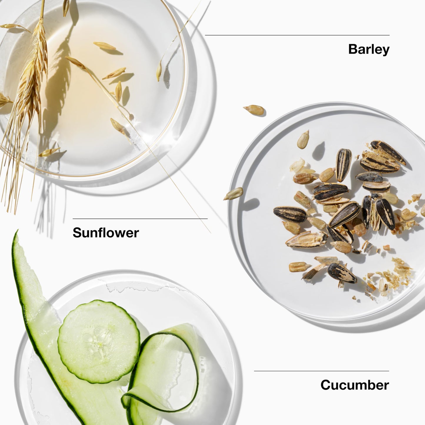 Clinique For Men Starter Kit Gift Set For Daily Oil Control | Face Wash | Cream Shave | Mattifying Moisturizer | Includes 3 Travel Size Pieces | Perfect for Him