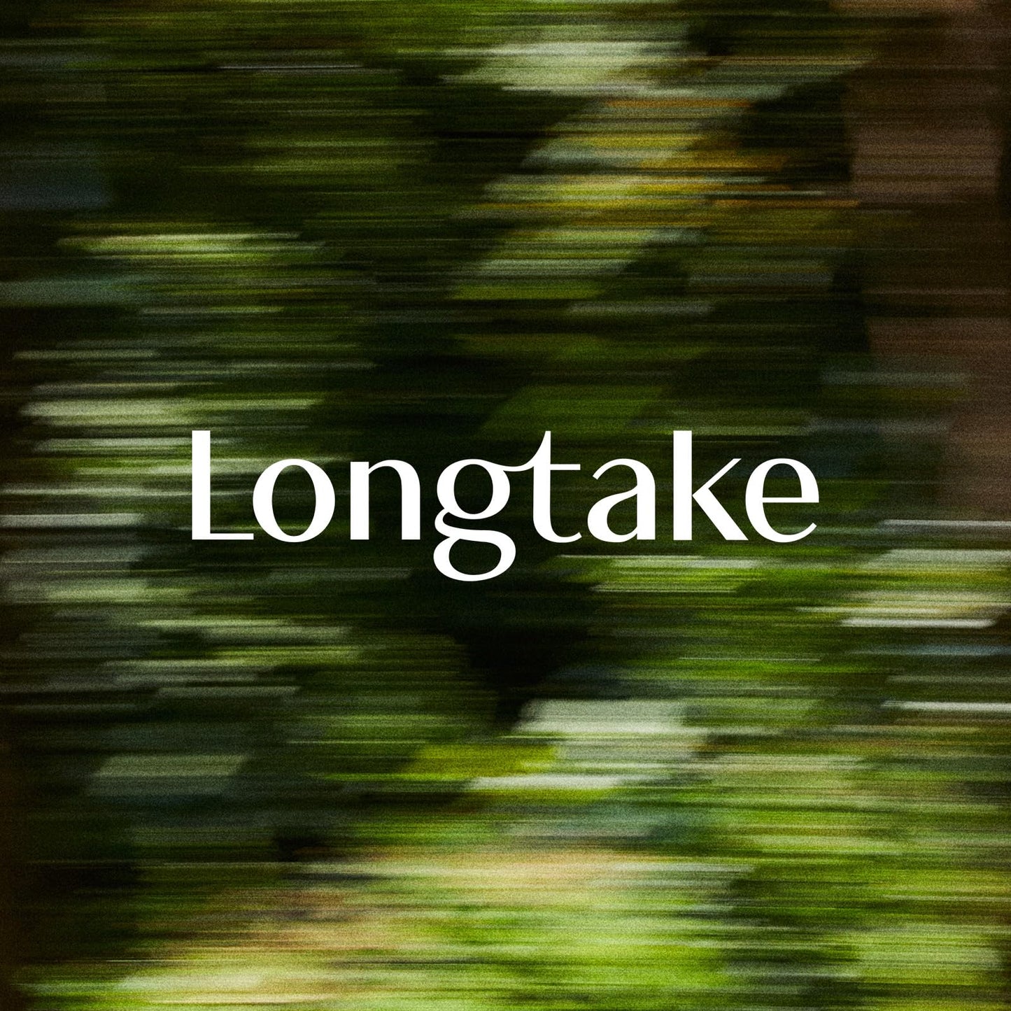 LONGTAKE Hair Fragrance Oil Sandalwood - Softening Hair Oil for Heat ProtectionㅣAnti-frizzㅣSplit end repairㅣ For all types ㅣ Vegan Hair Essence | 1.4 Fl. Oz. (40 ml)