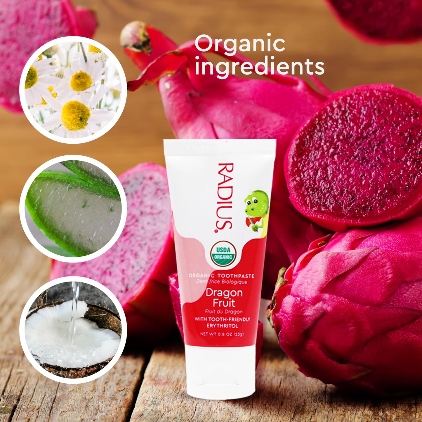 RADIUS USDA Organic Kids Toothpaste 3oz Non Toxic Chemical-Free Gluten-Free Designed to Improve Gum Health for Children's 6 Months and Up - Dragon Fruit - Pack of 1