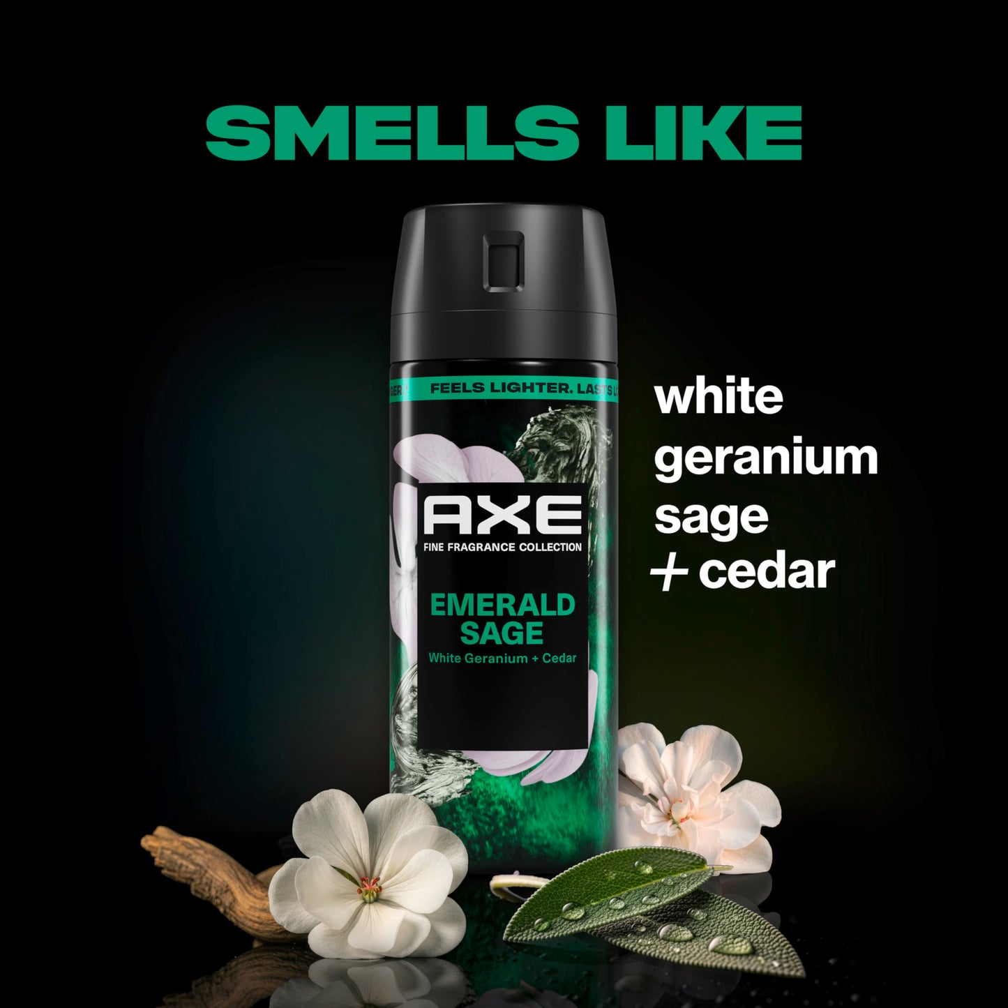 AXE Body Spray Everyday Essentials 4 Count Stay fresh for 72 hours Aluminum Free 2.9 oz