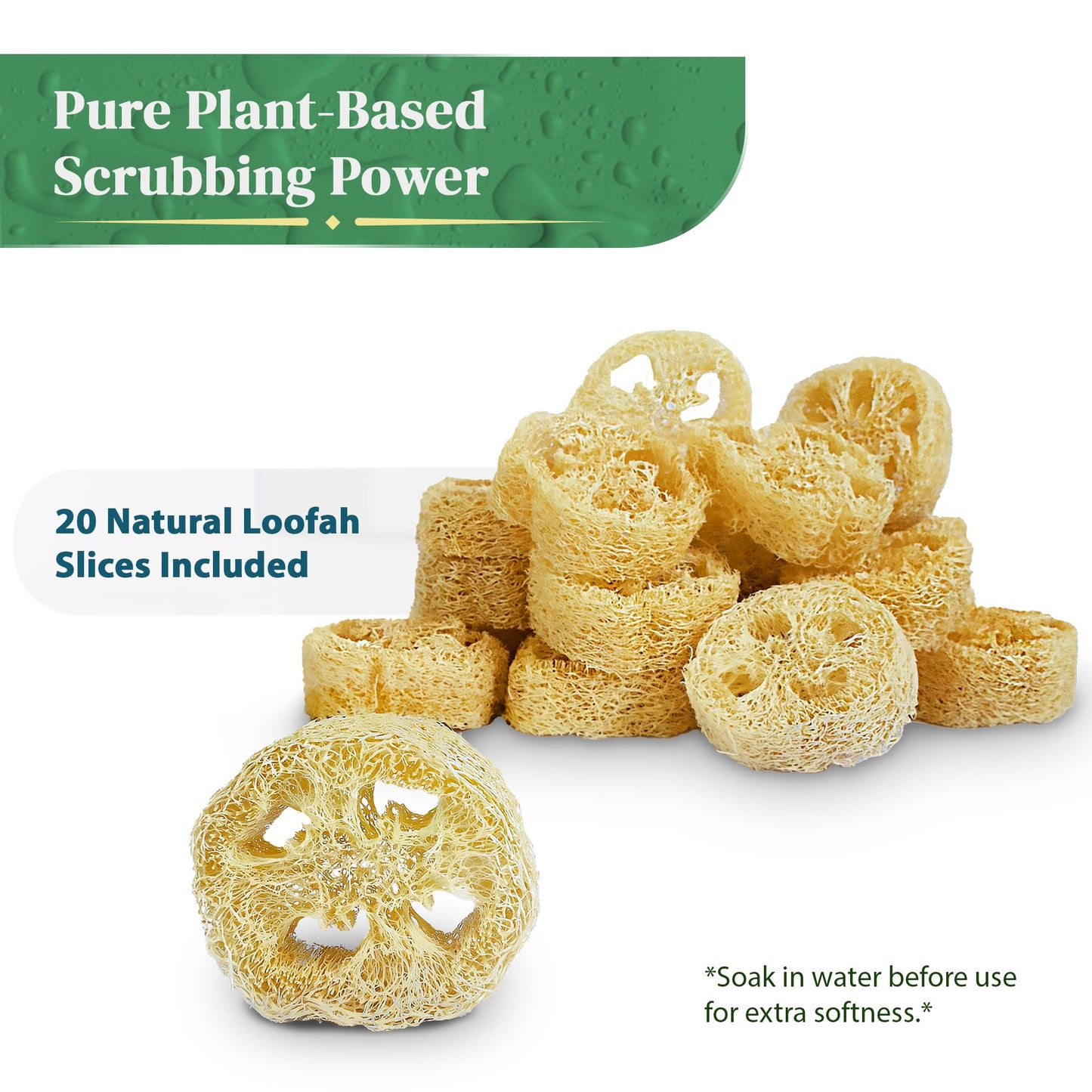 Natural Loofah Slices for Soap Making (20 Pack) - Organic Loufa Cuts - Bulk Luffa - Soap Making Supplies