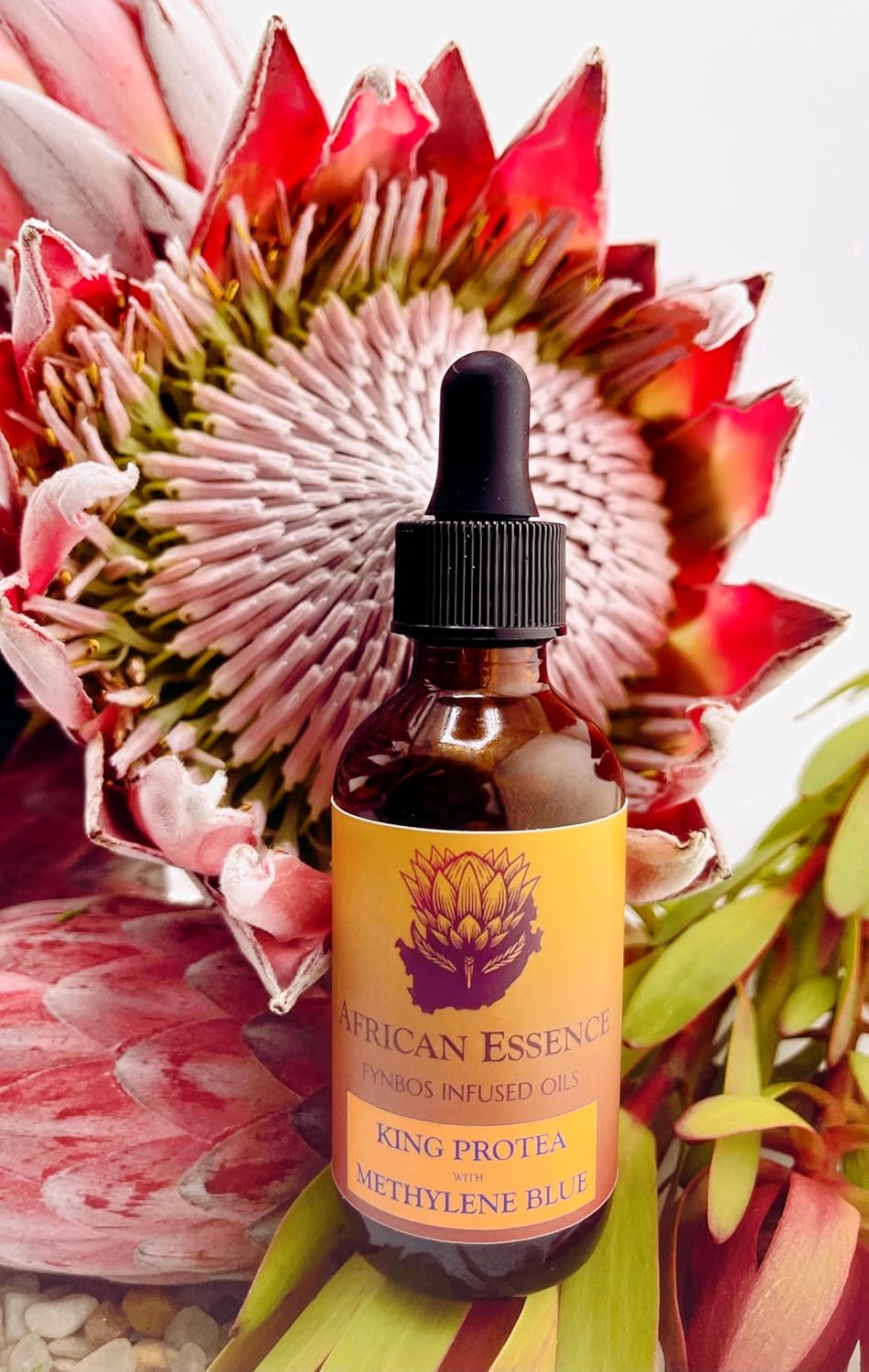Methylene Blue Skin Serum - Hydrating Glass Skin Serum with African Protea | Age-Defying Moisturizer