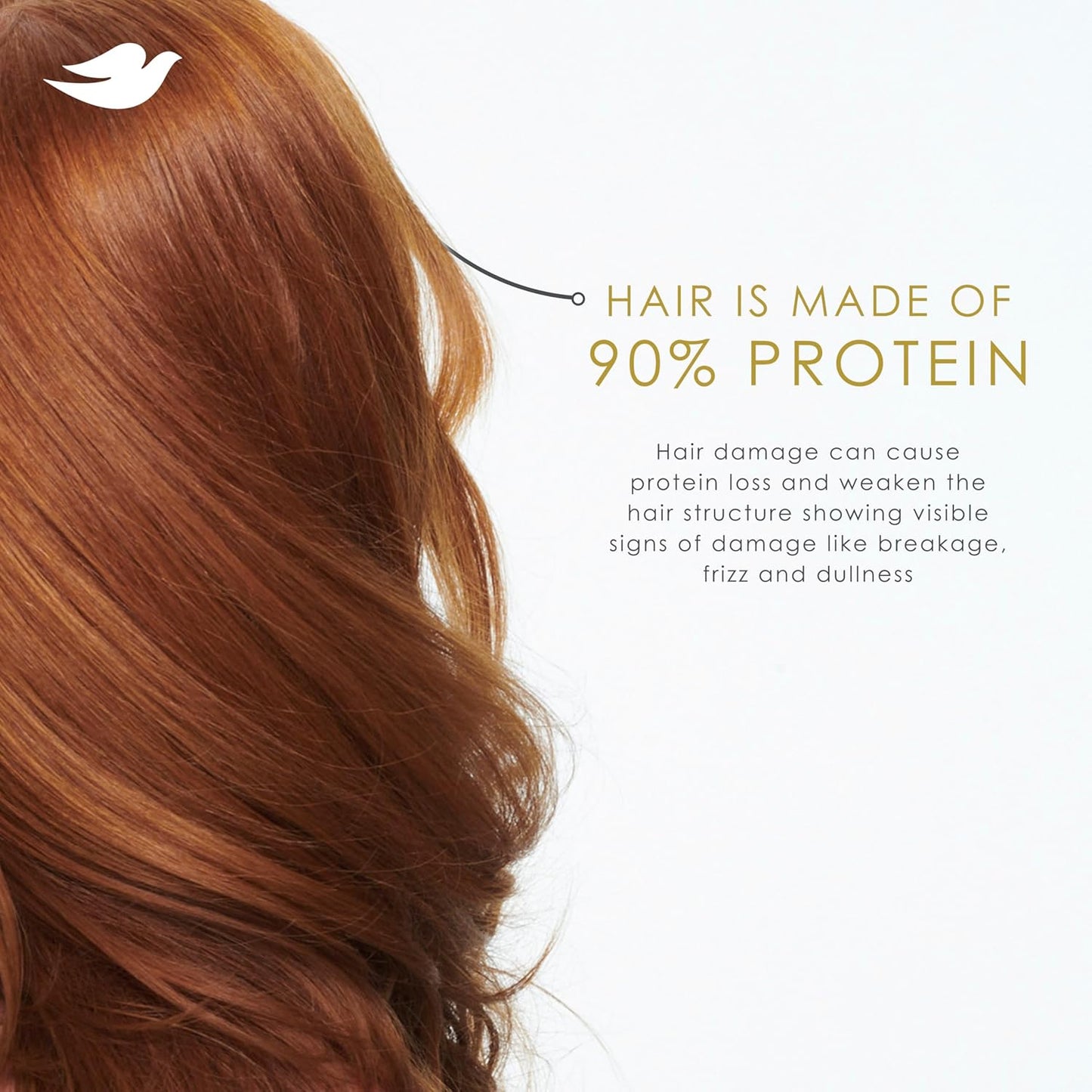 Dove Shampoo - Intensive Repair for Damaged Hair with Bio-Protein & Amino Serum | 28 Fl Oz (4 Pack)