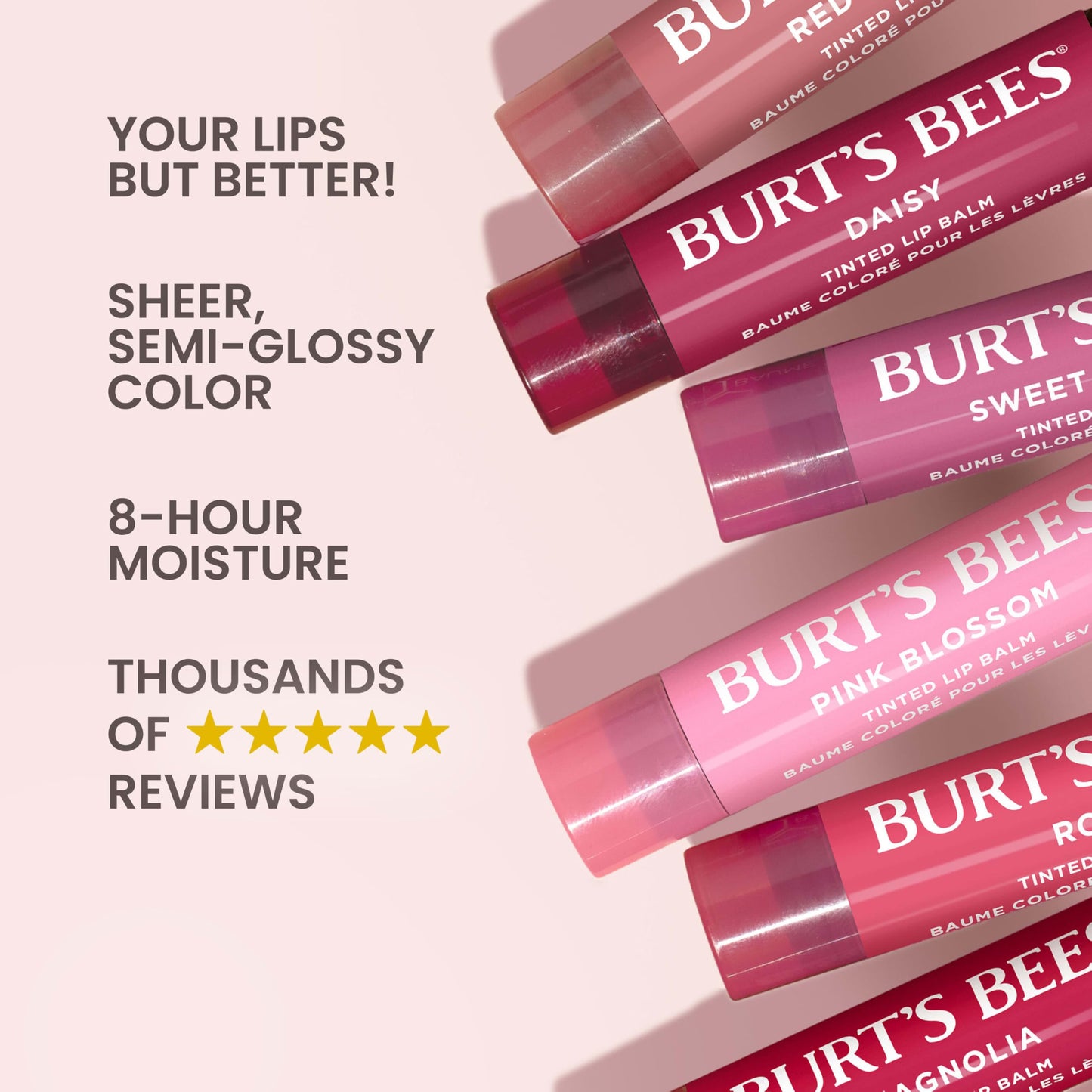 Burt's Bees Lip Tint Balm, Long Lasting 2 in 1 Duo Tinted Balm Formula, Color Infused with Hydrating Shea Butter for a Natural Looking Buildable Finish, Rose, 1 Tube