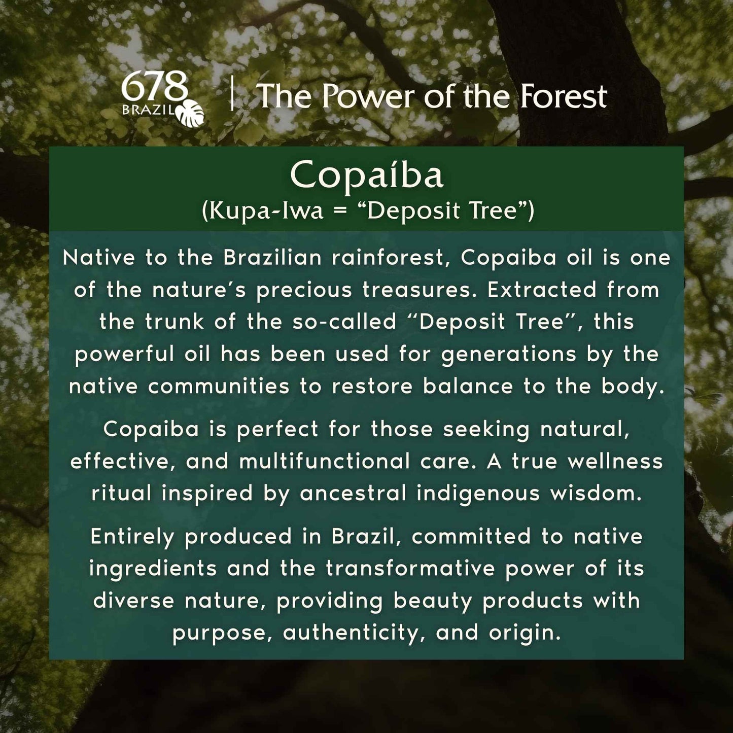 678Brazil Sensitive Skin Moisturizer - Supports the Skin’s Protective Barrier - Copaiba, Passion Fruit, Hyaluronic Acid - 17.63 Oz