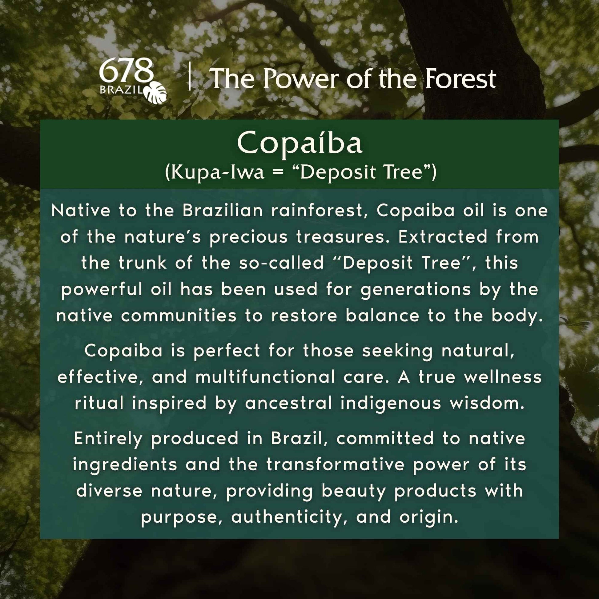 678Brazil Sensitive Skin Moisturizer - Supports the Skin’s Protective Barrier - Copaiba, Passion Fruit, Hyaluronic Acid - 17.63 Oz