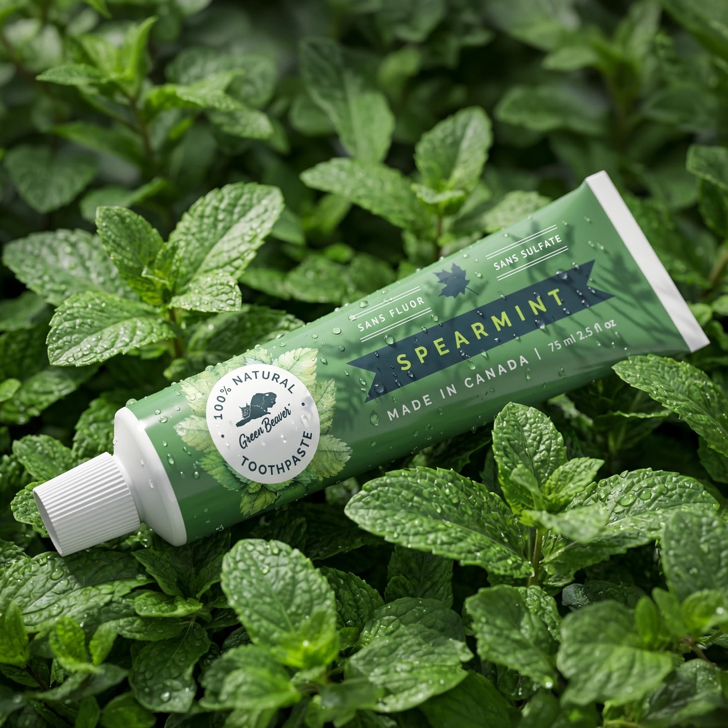 Green Beaver All Natural Organic Toothpaste, Vegan, Fluoride Free & Gluten Free Toothpaste, Spearmint Flavor, 75ml, 3 Pack