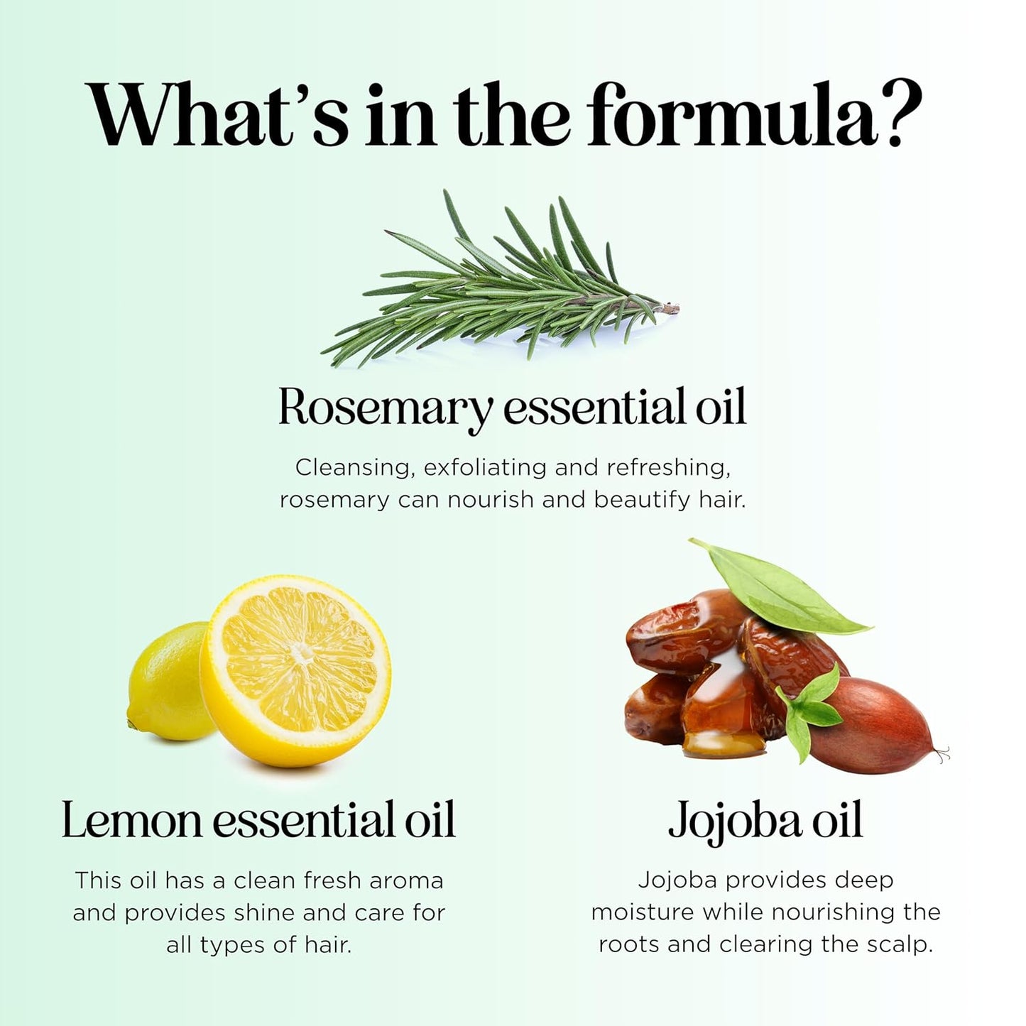 Clarifying Shampoo for Oily Hair - Deep Cleansing Rosemary Oil Formula | Vegan & Sulfate Free (2 Pack)