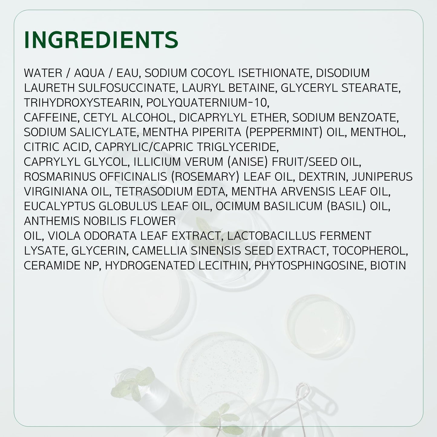 LABO.H Scalp Strengthening Shampoo for Hair Growth & Anti-Loss | Vegan Ceramide Haircare Routine with Rosemary Oil, Biotin and Caffeine, Paraben Free, Korean Hair Care, 13.5 Fl. oz.