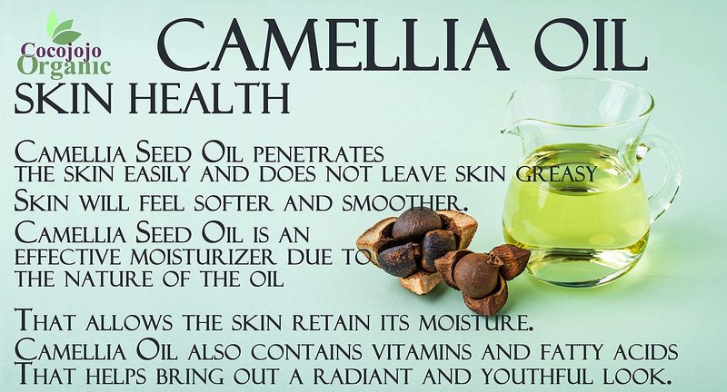Dr Joe Lab Japanese Camellia Seed Oil - Pure, Unrefined, Cold Pressed, Non-GMO Bulk Carrier - 32 oz - for Skin, Hair, Nails, Body, Facial Hair - Hydrating Moisturizing Vegan - Packaging May Vary