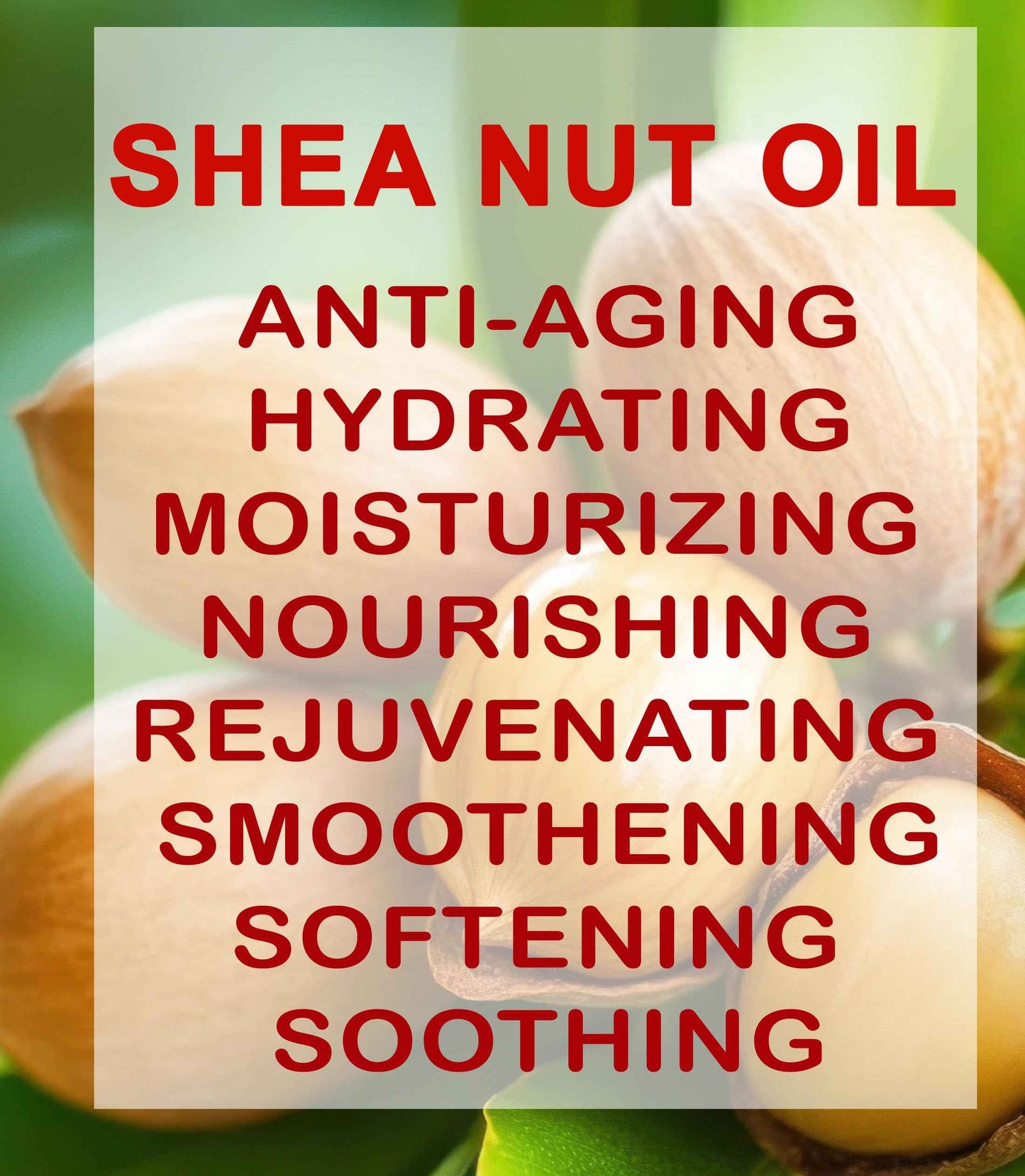 Botanical Beauty SHEA NUT OIL 100% Pure Natural Undiluted Refined Cold Pressed Carrier Oil for Face, Skin, Hair, Lip, Nails. (Karite) Nut Oil. Rich in Vitamin E, Vitamin A (4 Fl Oz)