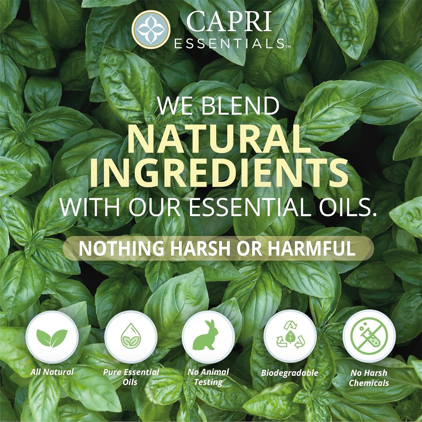 Capri Essentials Hand Soap Liquid, Natural Household Cleaning Supplies, Gentle Plant Based Aromatic Hand Wash with a Blend of Essential Oils, Removes Dirt & Grime, Sweet Basil Scent, 16 FL Oz (3 Pack)