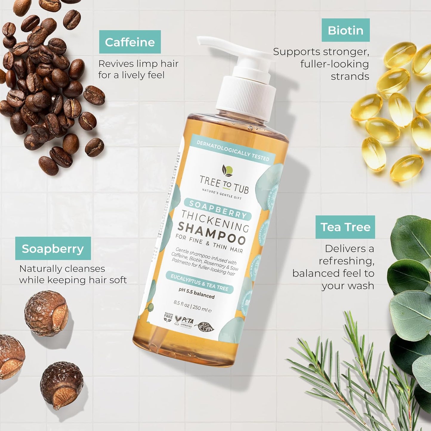 Biotin Fine Hair Thickening Shampoo - Sulfate-Free Argan Oil Formula for Fuller Volume | Gentle for Women & Men