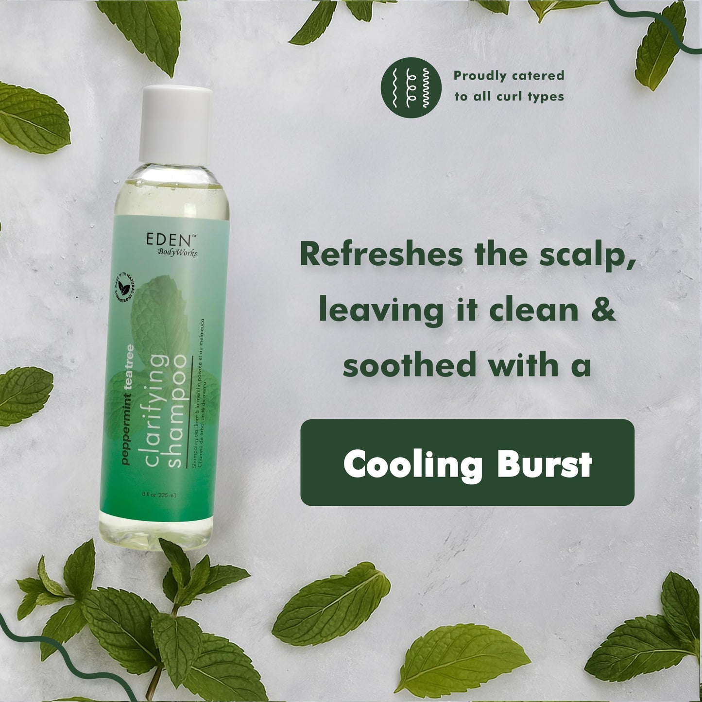 EDEN BodyWorks Peppermint Tea Tree Shampoo | Clarifying Shampoo for Curly Hair | Perfect for Build Up Cleansing | 8oz
