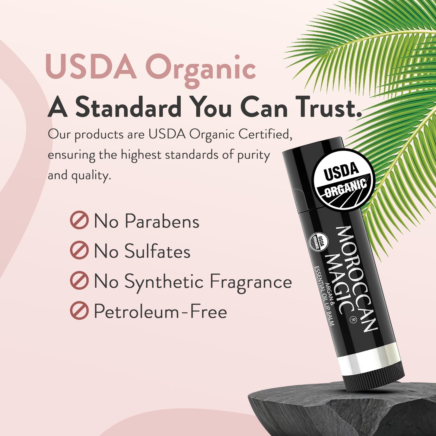Moroccan Magic Organic Pure Coconut Lip Balm 3 Pack | Ultra-Hydrating Argan & Essential Oil Lip Moisturizer + Vitamin E | Natural Chapstick for Dry Lips | Smooth, Non-Toxic | Organic Lip Balm