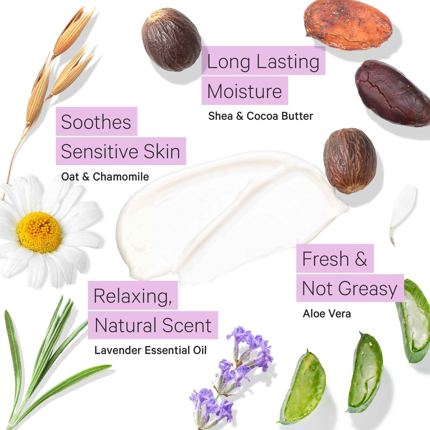 Tree to Tub Lavender Shea Butter Body Lotion for Dry Skin - Moisturizing Sensitive Skin Lotion for Women & Men, Vegan Body Moisturizer w/Organic Aloe Vera, Cocoa Butter, All Natural Colloidal Oatmeal