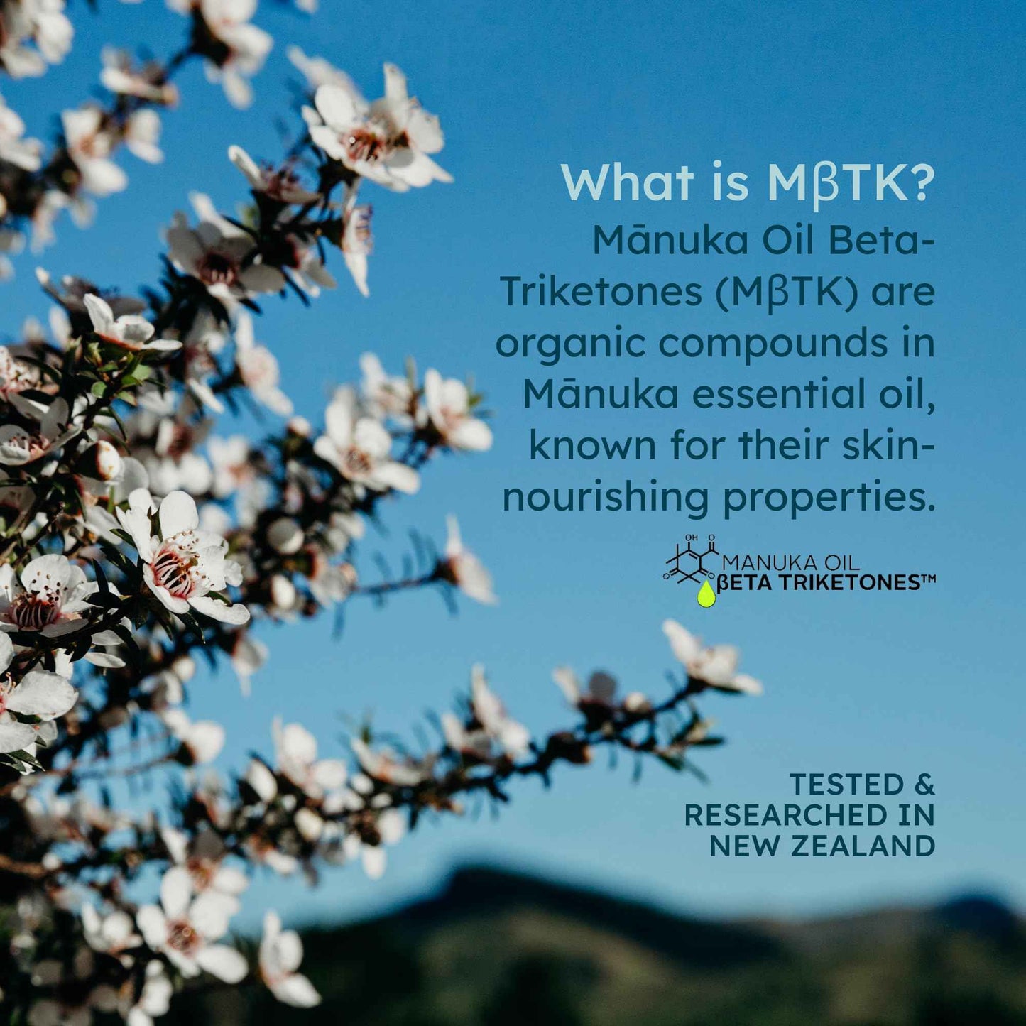 MELORA Manuka Honey Body Lotion (7oz), Moisturizing Lotion with Soothing Manuka Honey & Oil for Dry, Very Dry, Sensitive, or Aging Skin – Cream Moisturizer for Women & Men