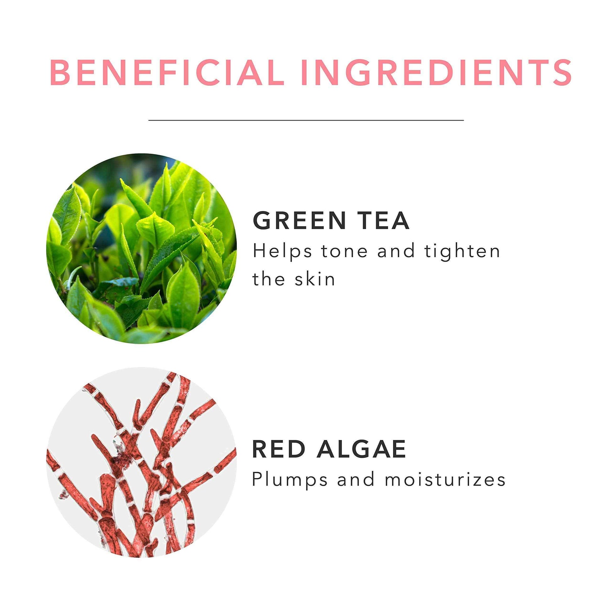 100% PURE French Lavender Shower Gel Natural Foaming & Hydrating Body Wash - Deeply Moisturizing Gentle Soap Cleanser for All Skin Types, Even Sensitive - Gluten-Free - 8 Fl Oz