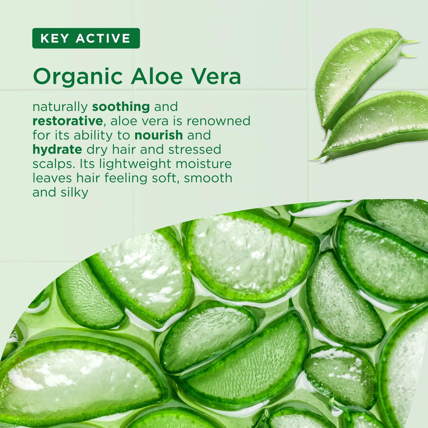 Organic Doctor Aloe Vera, Shampoo, 9 Fluid Ounce