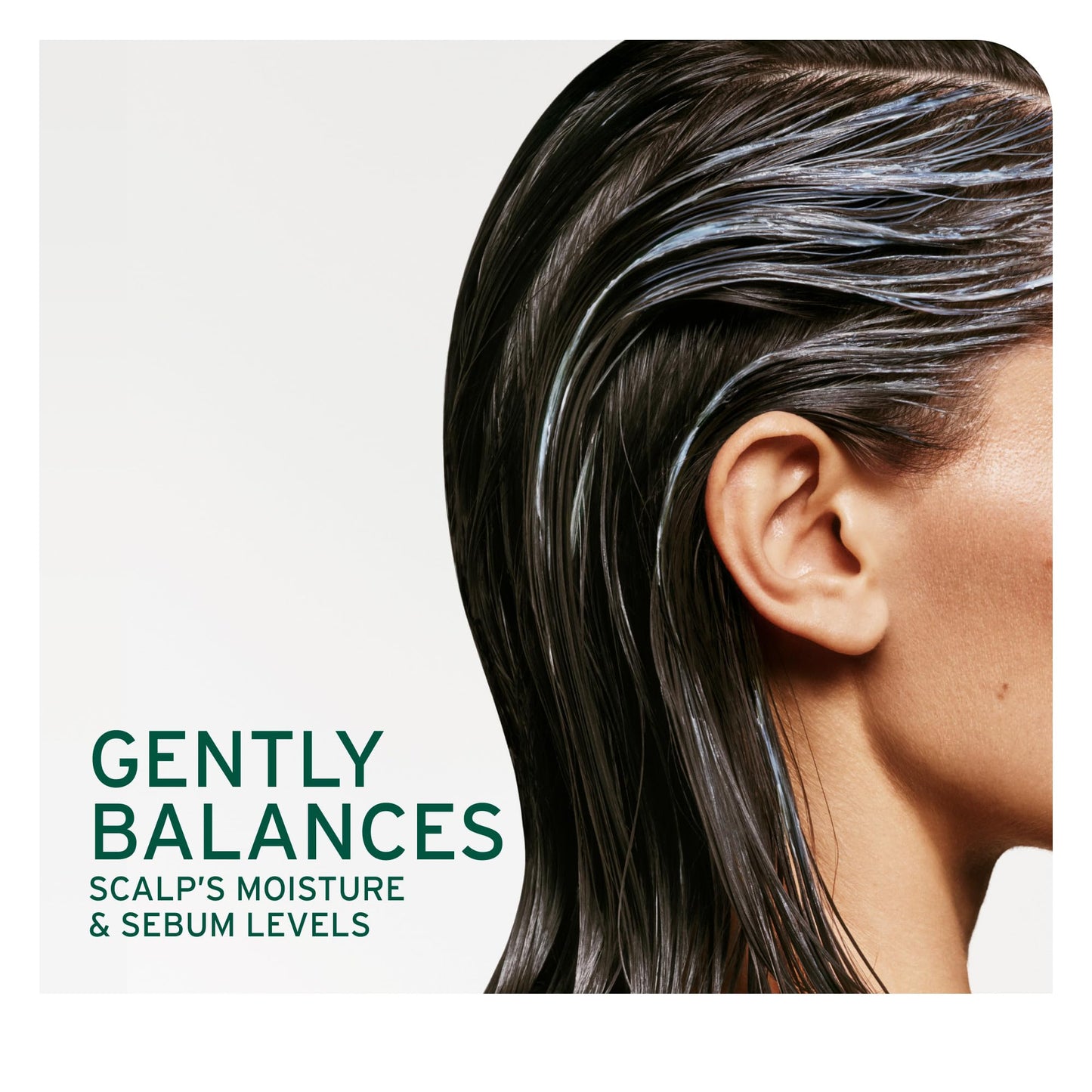 Biolage Scalp Sync Universal Conditioner - Nourishing & Hydrating for All Scalp Types, Lightweight Moisturizing & Conditioning, Fermented Tea Blend & Glycolic Acid, Vegan & Paraben-Free, 7.9 Fl Oz