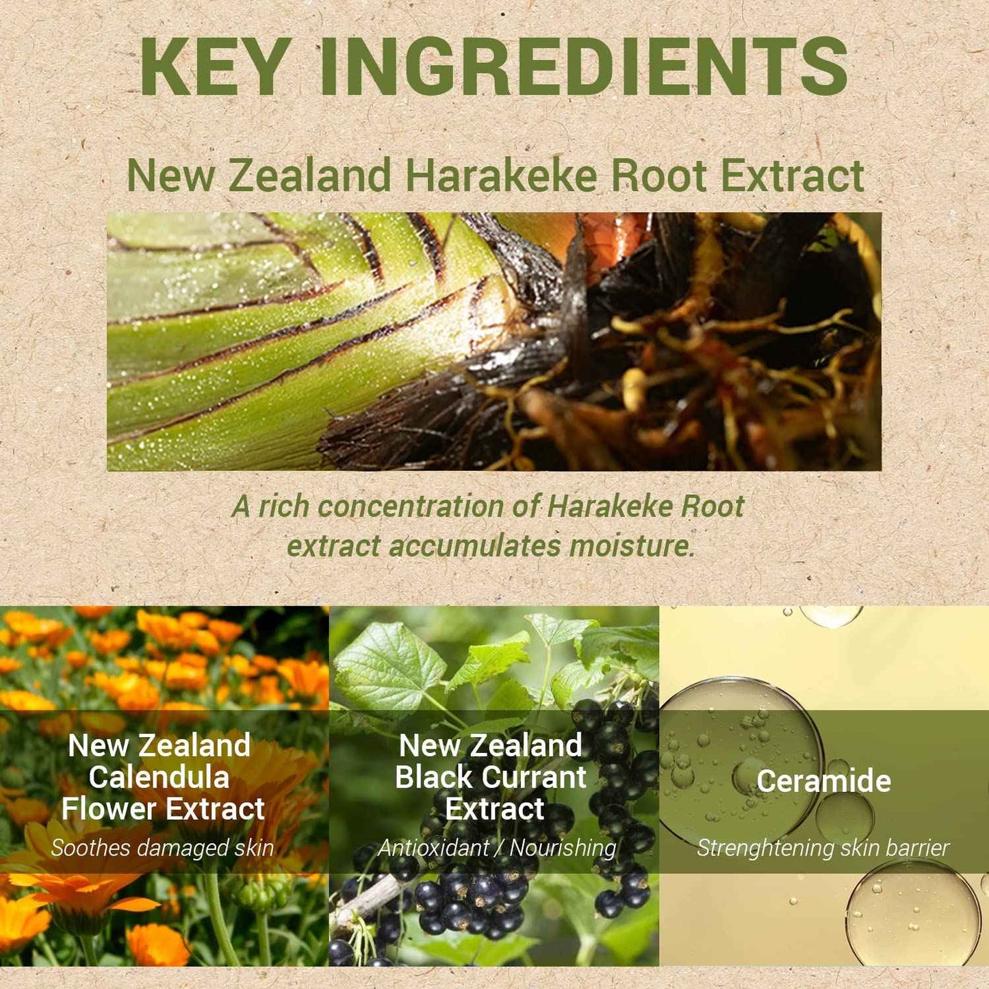 THESAEM Urban Eco Harakeke Deep Moisture Sleeping Pack 2.7 fl.oz. - Vegan Moisturizing Overnight Face Mask for Dry Skin - Skin Smoth Hydrating Night Cream - Harakeke Root Extract and Ceramides