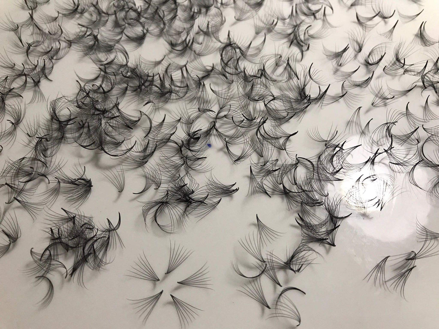 7D PREMADE (HAND MADE) FAN LASHES (500 FANS/TRAY) FOR EYELASH EXTENSION, C CURL AND D CURL, 0.07 THICKNESS, LENGTH FROM 10MM-15MM (D14mm7D)