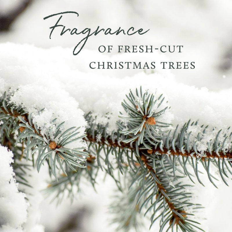 Thymes Frasier Fir Hand Cream, Travel Tin Candle Jar and Bar Soap Gift Set - Scented with Notes of Siberian Fir, Cedarwood, and Sandalwood - Luxury Home Fragrance Set - Hostess Gift for the Holidays