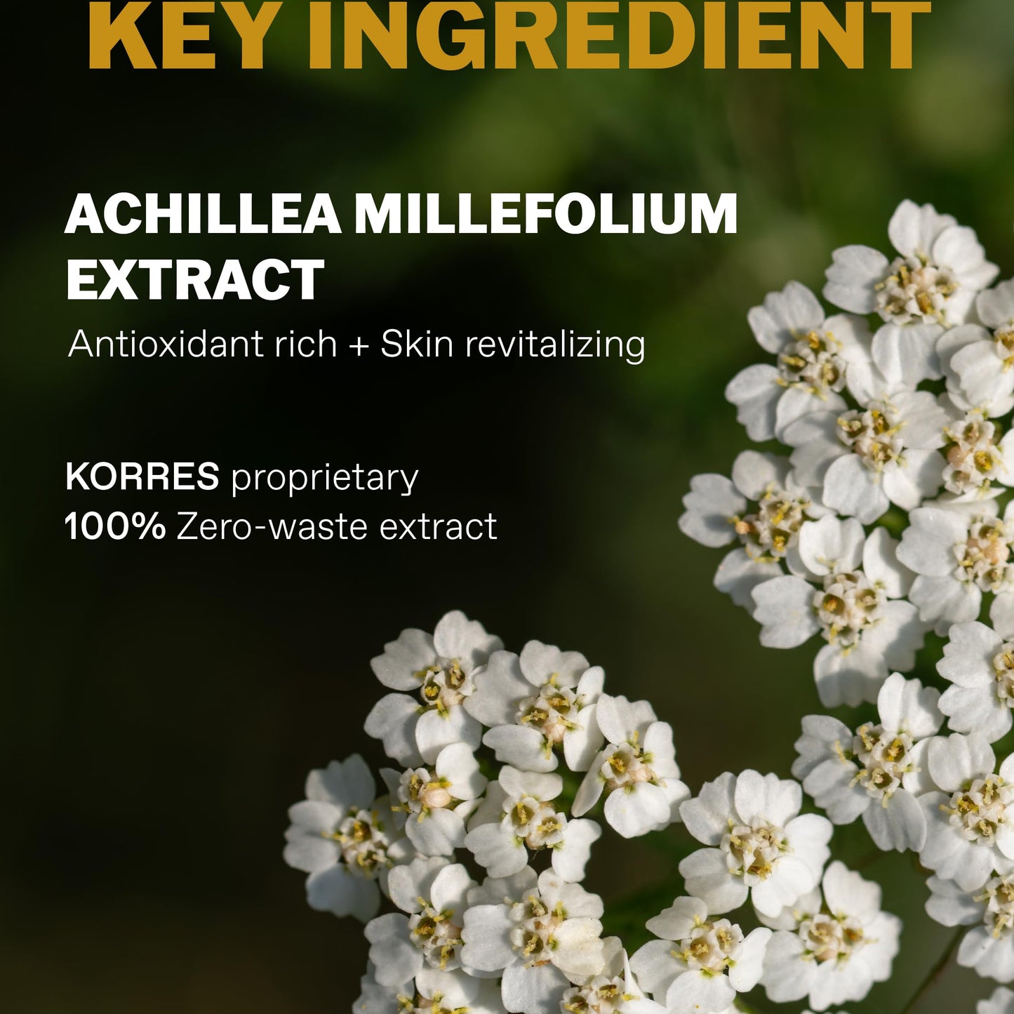 KORRES Athenian Grooming 2-in-1 Men’s Shampoo & Shower Gel, Moisturising & Detangling Formula, Achillea Millefolium & Marjoram Extracts, Bergamot & Leather Scent, Silicone & Paraben Free, 8.45 Fl Oz