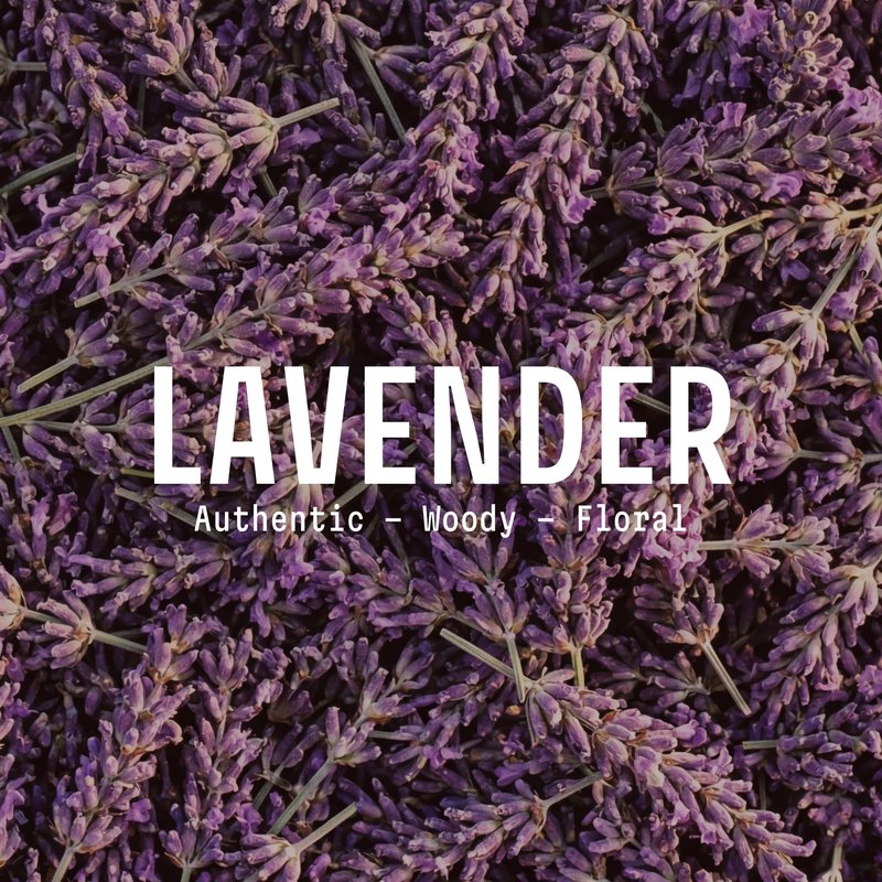 Panier des Sens Lavender Hand Soap - Premium Liquid Soap for Kitchen and Bathroom – French Savon de Marseille, Natural Hand Wash (97% Ingredients), Gentle & Moisturizing, 16.9 fl oz