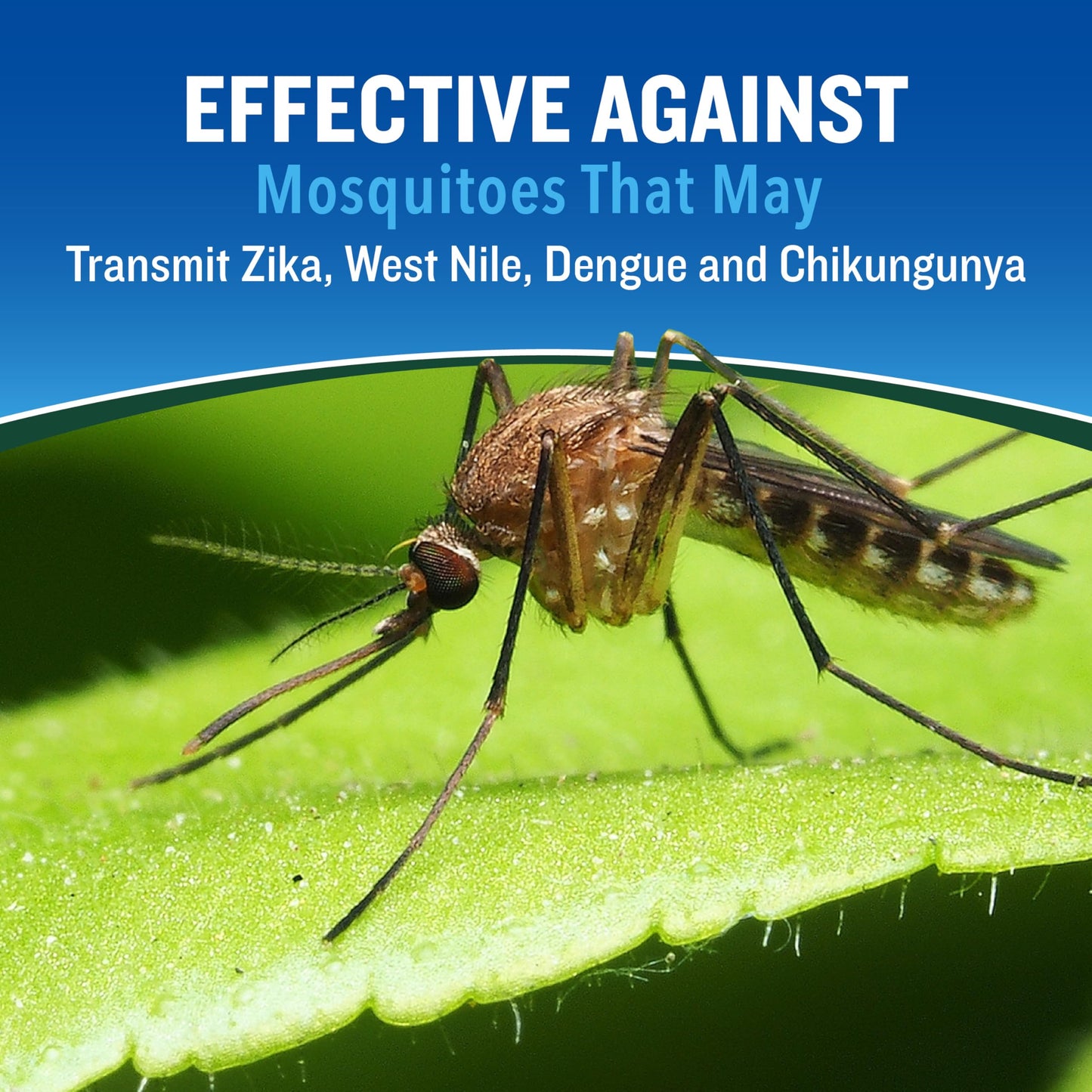 Cutter Backwoods Dry Insect Repellent, Aerosol, 4-Ounce