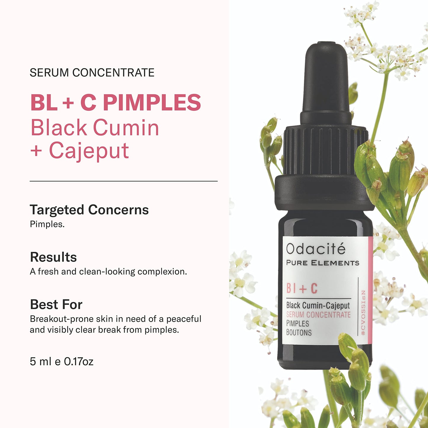 Odacité Bl+C Serum Concentrate for Face, Luxury Black Cumin + Cajeput Pore-Clearing Facial Oil for Pimples & Blemishes, Vegan Vitamin E Spot Treatment for Oily, Acne-Prone Skin, 0.17 fl oz