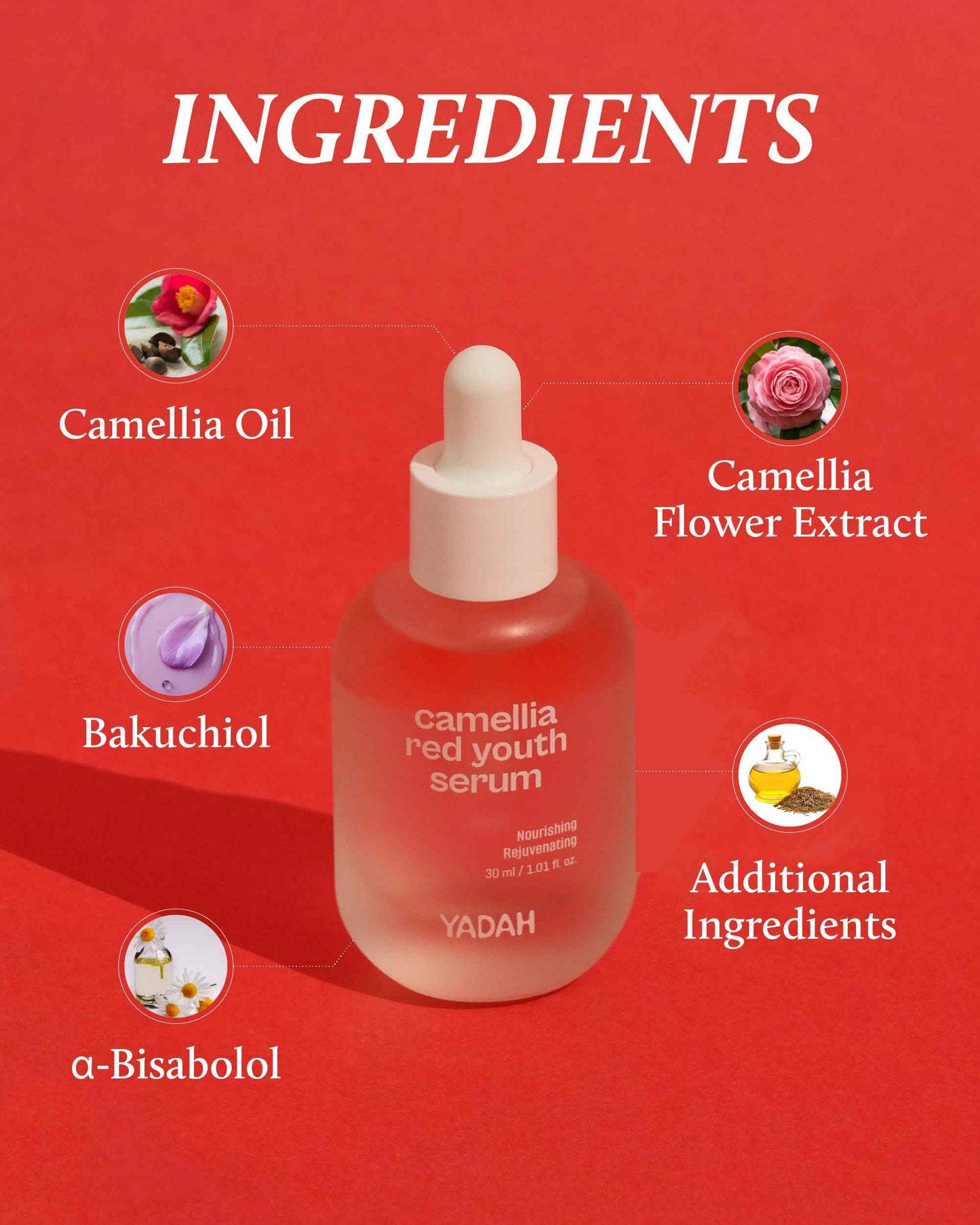 YADAH Camellia Red Youth Serum, Wrinkle care & Firming care Facial Serum with Bakuchiol and Camellia Oil, Hydrating & Skin Defense Treatment, For All Skin Types, 1.01fl oz
