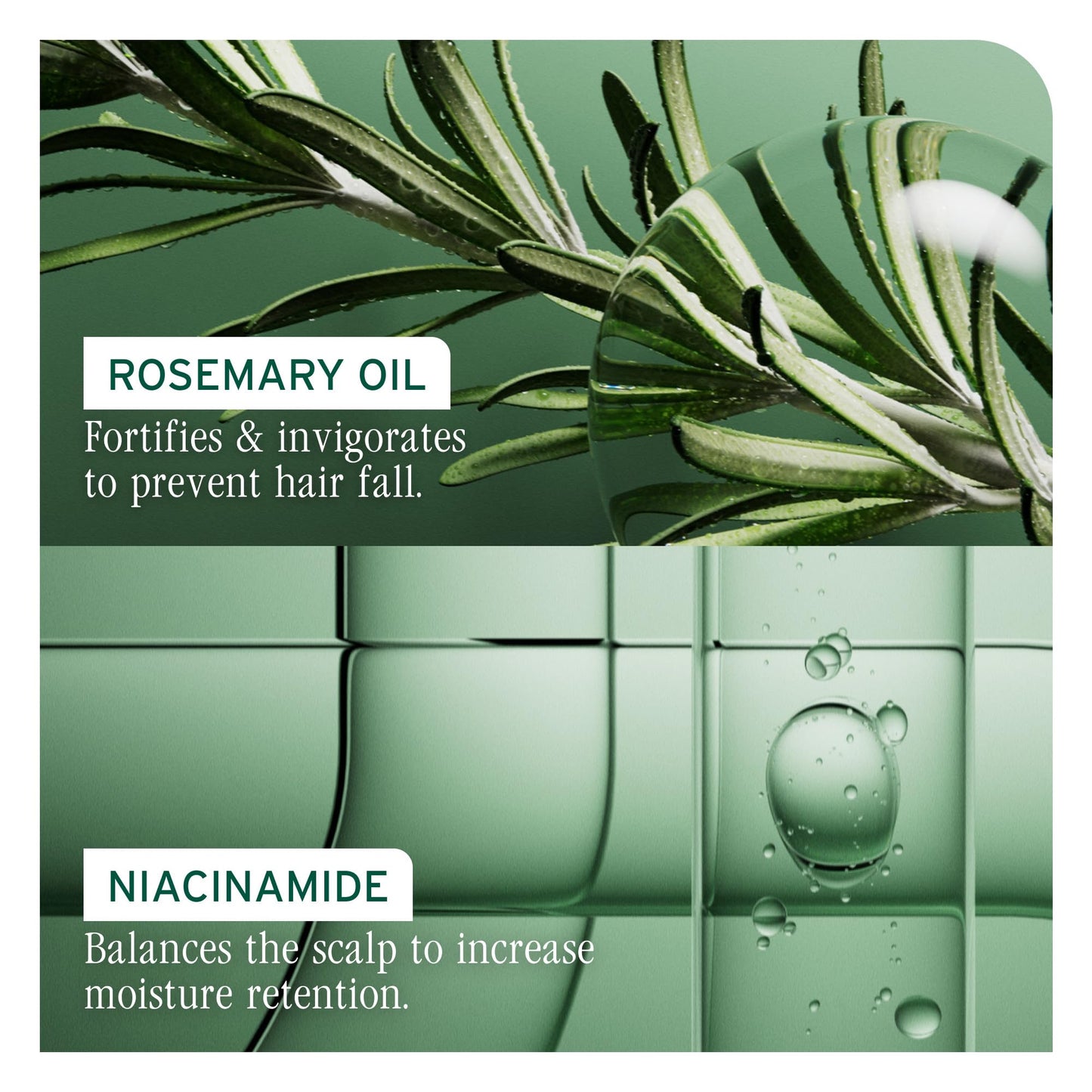Biolage Full Rescue Shampoo - Fortifies & Strengthens for Stronger Hair, Longer Lengths in 4 weeks*, Instantly Fuller-Looking Hair, Rosemary Oil & Niacinamide, Vegan & Cruelty-Free, 13.5 FL Oz