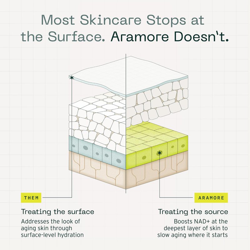 Aramore NAD+ Cell Energizing Skin Care Treatment with Proprietary NAD+ Precursor Complex, Clinically Proven to Target 12 Signs of Aging - 15ml